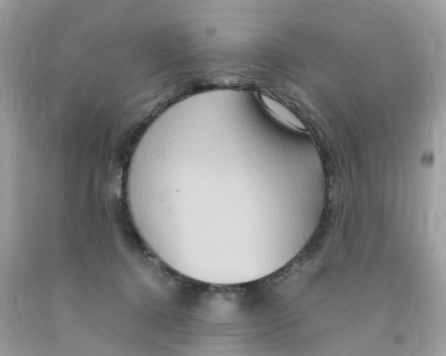 X0000091080368200709041246