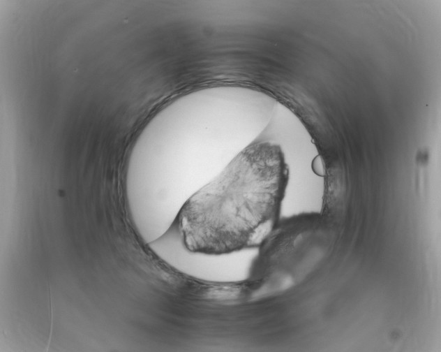 X0000091080369200709041246