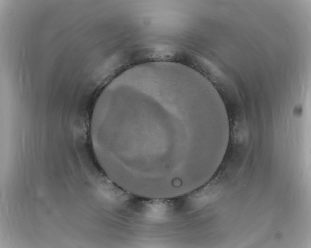 X0000091080370200709041246