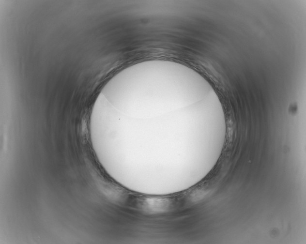 X0000091080371200709041246