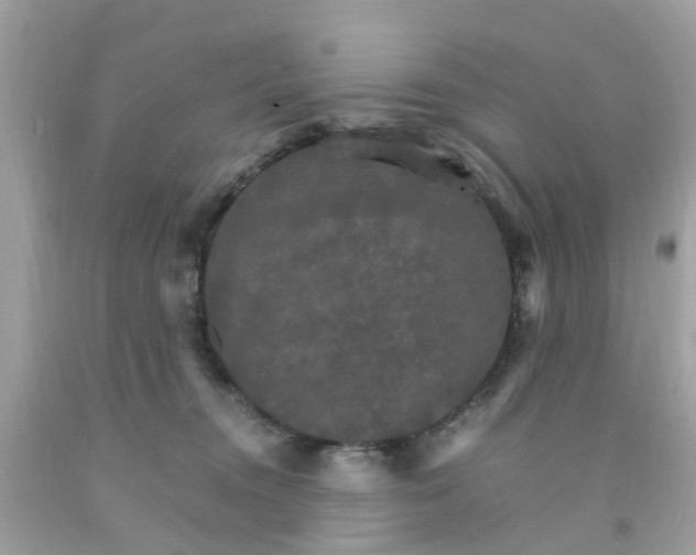 X0000091080372200709041246