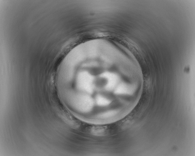 X0000091080373200709041246