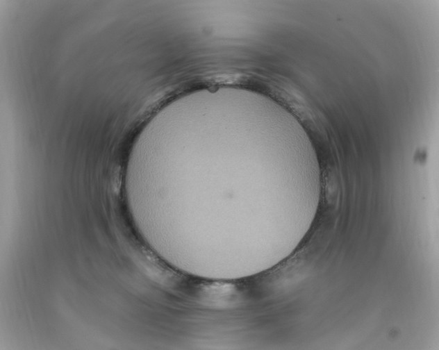 X0000091080374200709041246