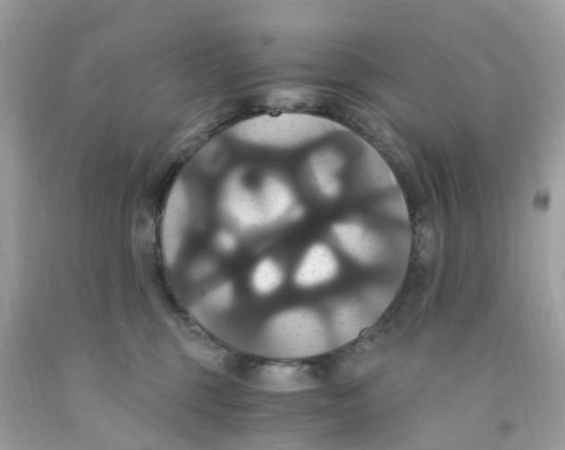 X0000091080375200709041246