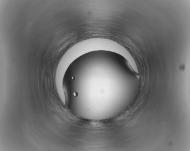 X0000091080376200709041246