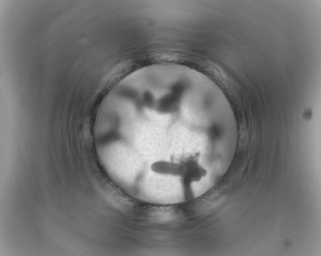 X0000091080377200709041246