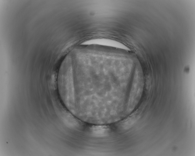 X0000091080378200709041246