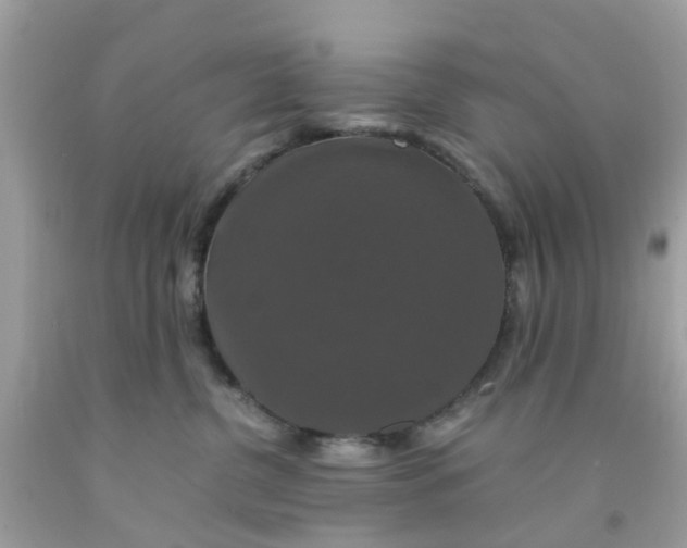 X0000091080380200709041246