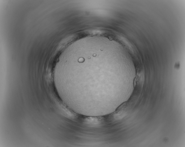 X0000091080381200709041246