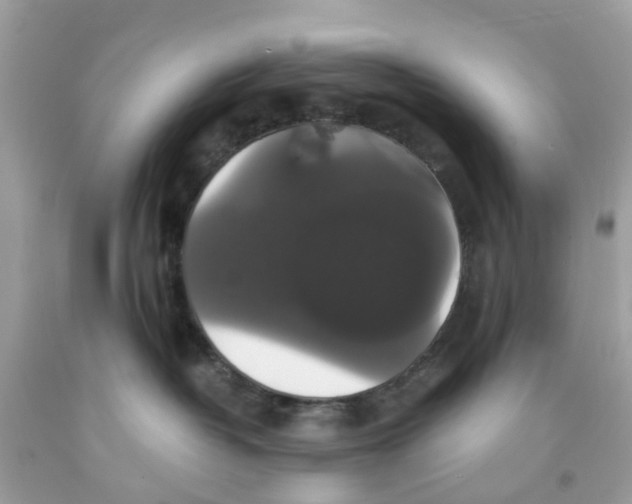 X0000091080382200709041246