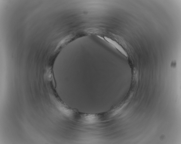 X0000091080383200709041246