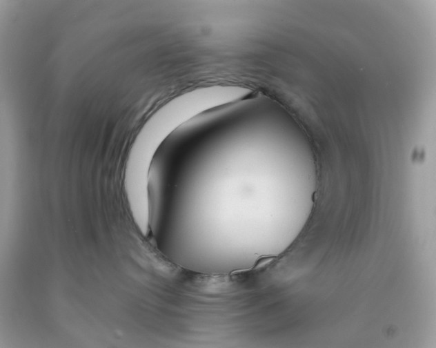 X0000091080384200709041246