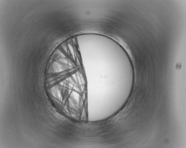 X0000091080385200709041245