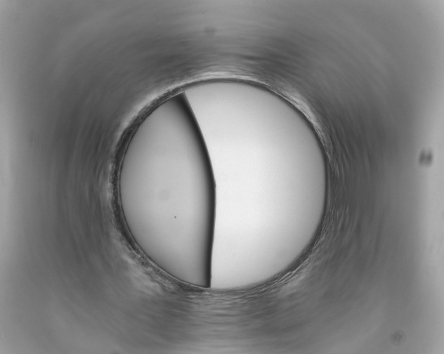 X0000091080387200709041245