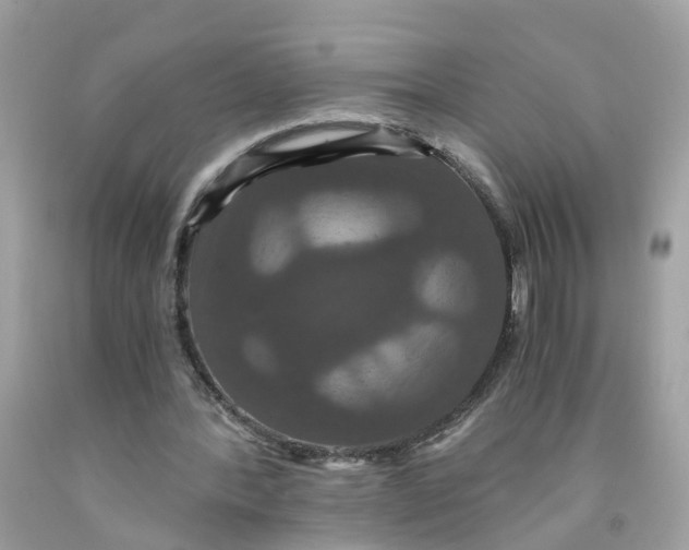 X0000091080388200709041245