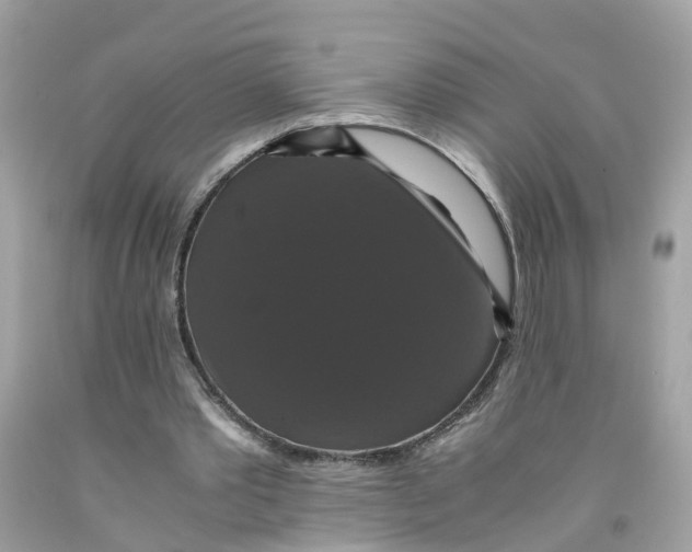 X0000091080389200709041245