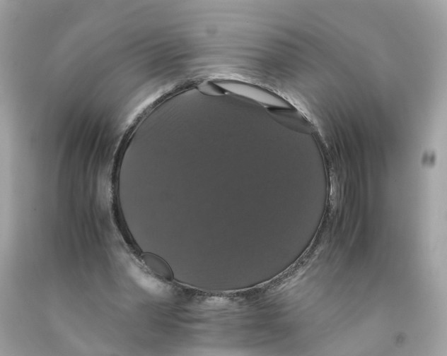 X0000091080390200709041245