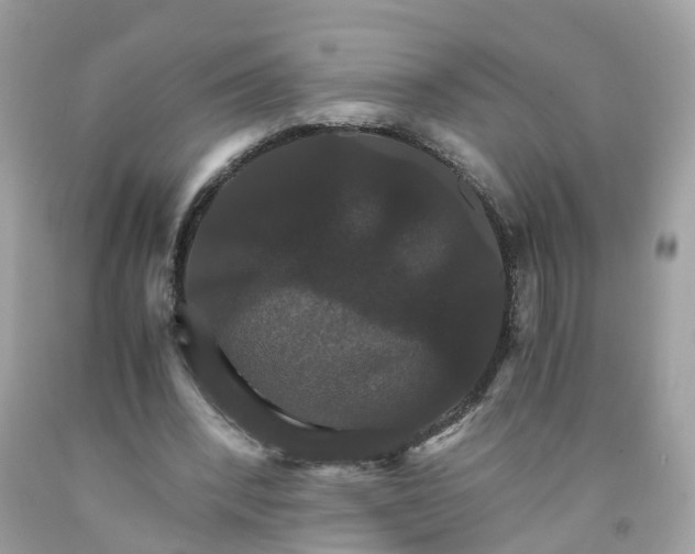 X0000091080392200709041245