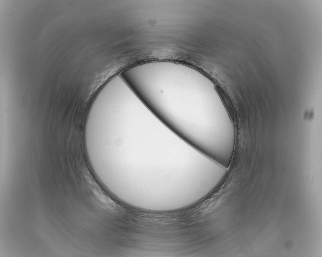 X0000091080393200709041245