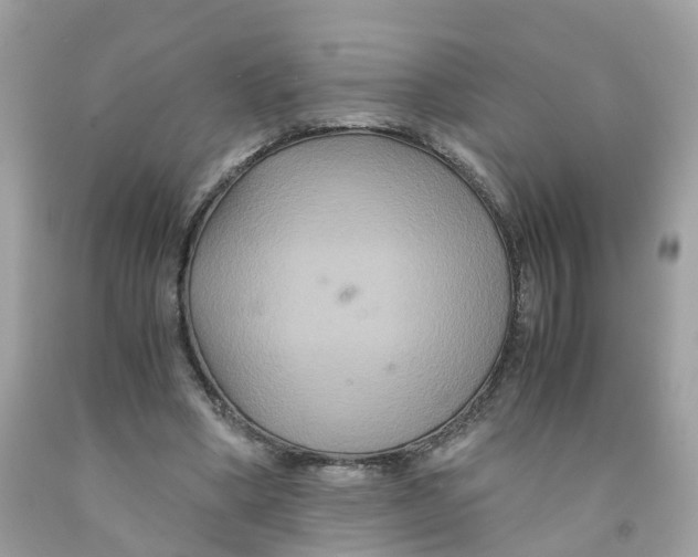 X0000091080394200709041245