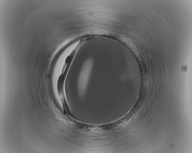 X0000091080395200709041245