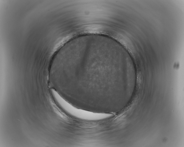 X0000091080397200709041245