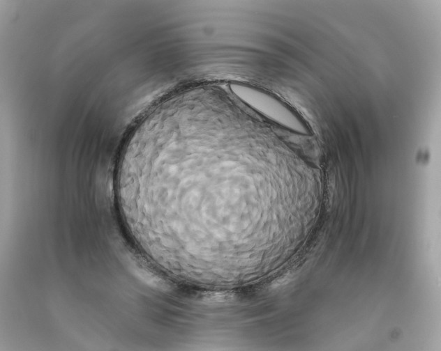 X0000091080398200709041245