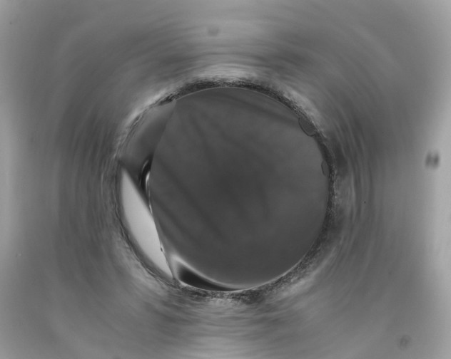 X0000091080399200709041245