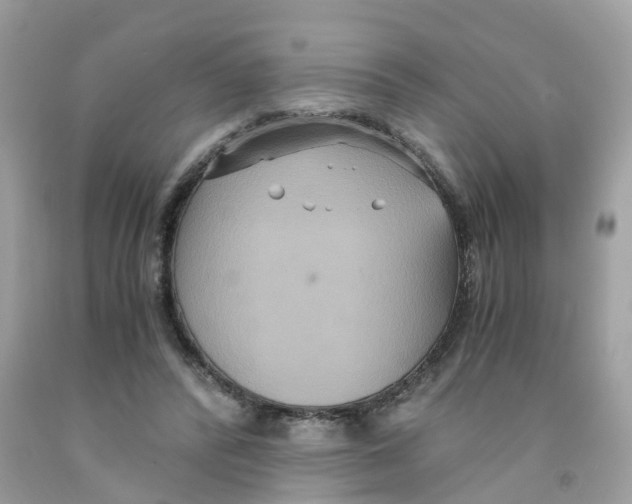 X0000091080400200709041245