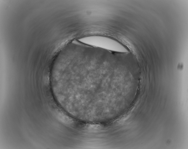 X0000091080401200709041245