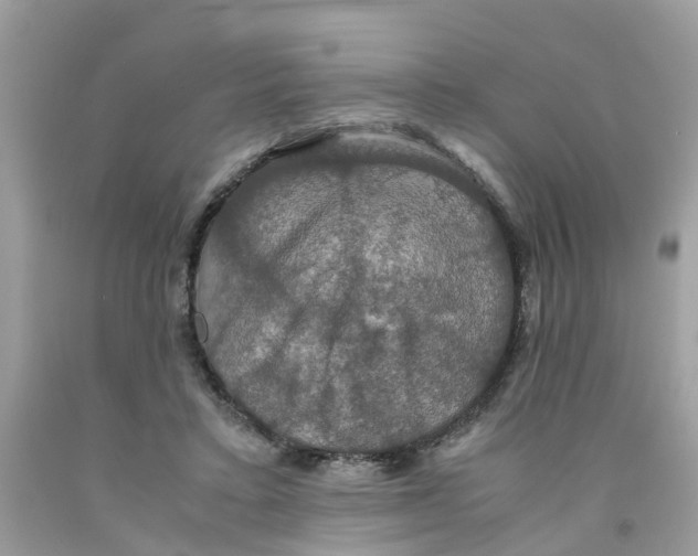 X0000091080403200709041245