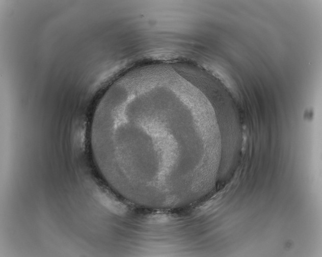 X0000091080404200709041245