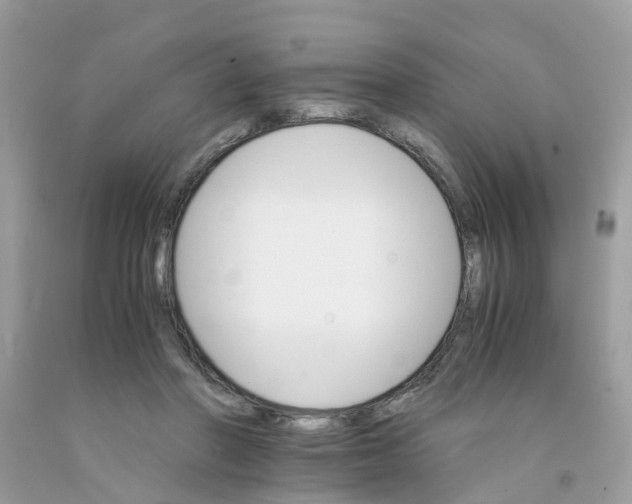 X0000091080406200709041245