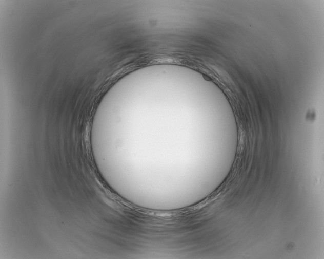 X0000091080409200709041245