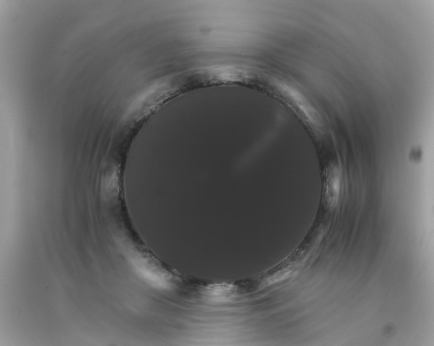 X0000091080410200709041245