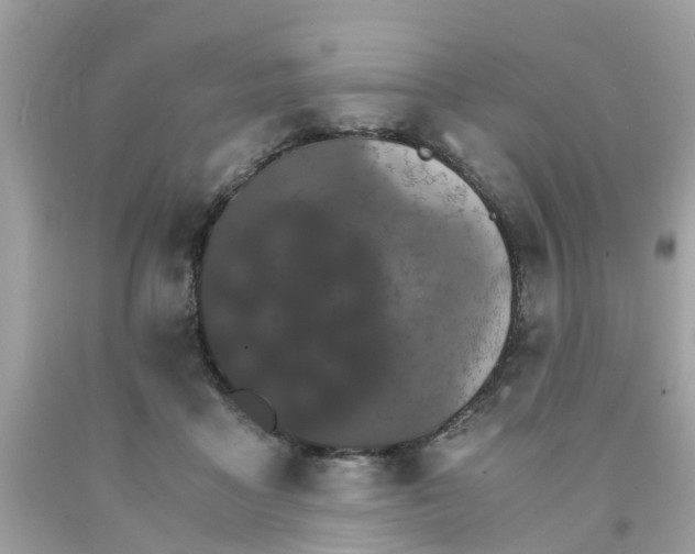 X0000091080411200709041245