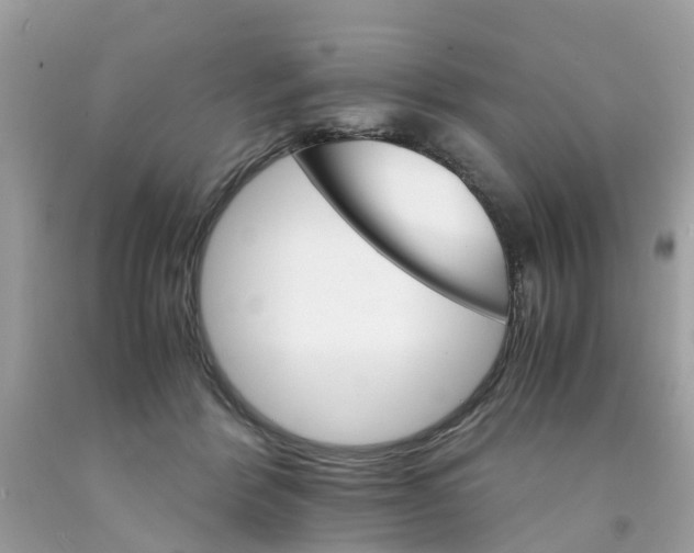 X0000091080412200709041245