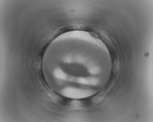 X0000091080413200709041245