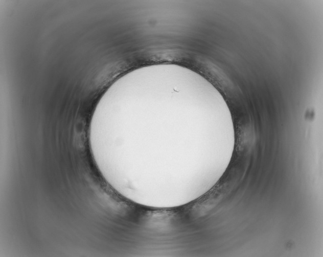 X0000091080414200709041245