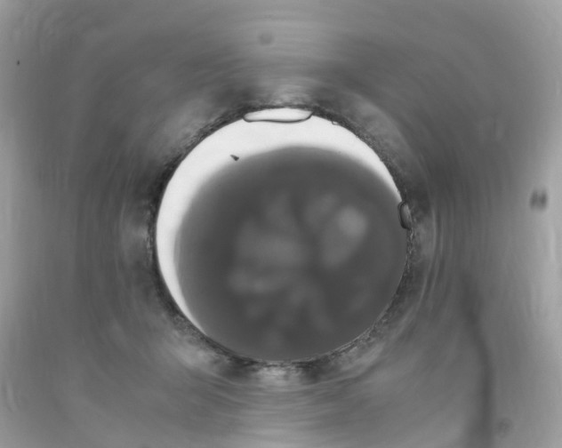 X0000091080415200709041245