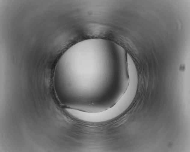 X0000091080416200709041245