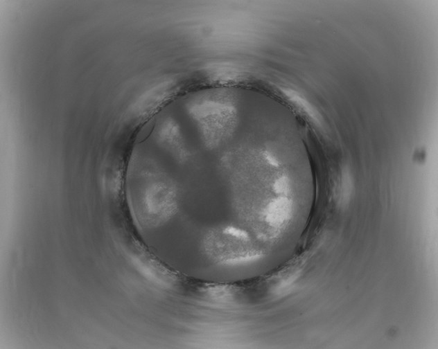 X0000091080417200709041245