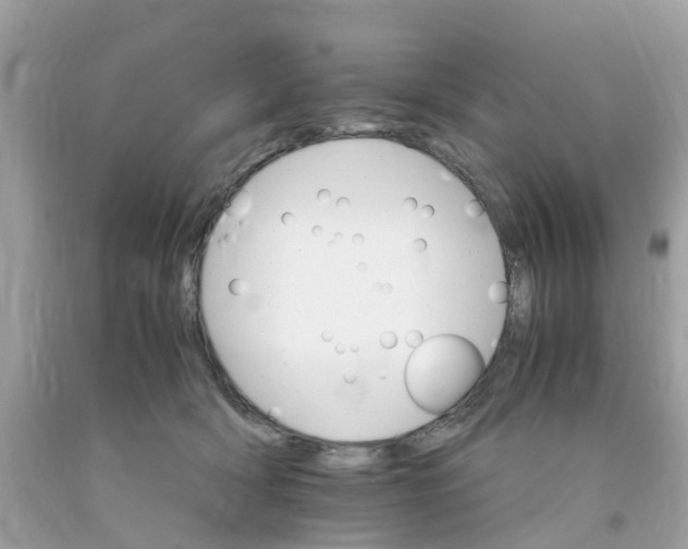 X0000091080418200709041245