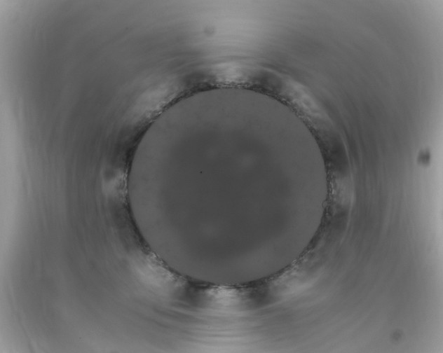 X0000091080419200709041245