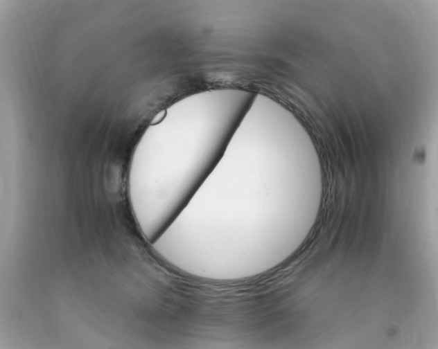 X0000091080420200709041245