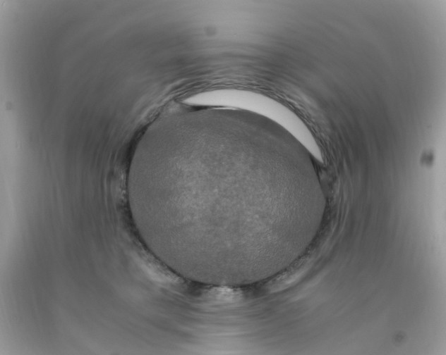 X0000091080421200709041245