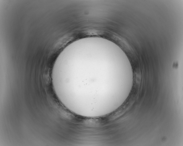 X0000091080422200709041245