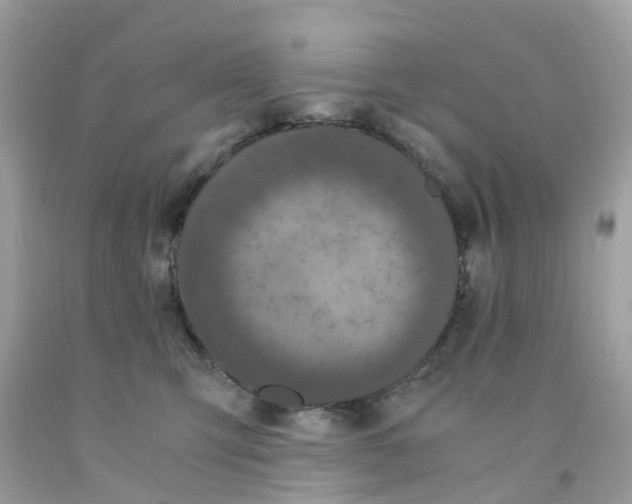 X0000091080423200709041245