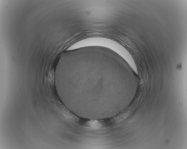 X0000091080425200709041245