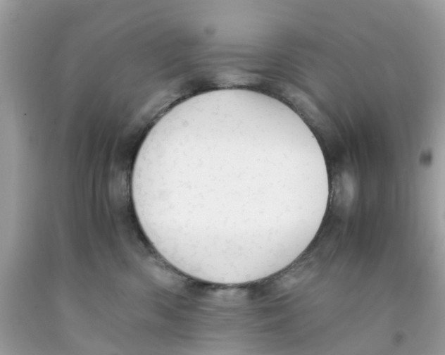 X0000091080426200709041245